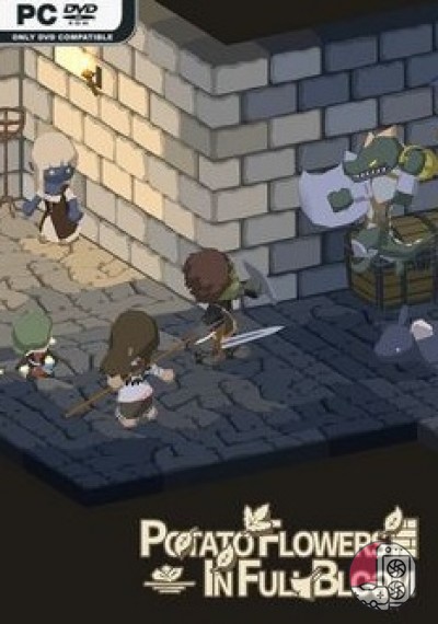 download Potato Flowers in Full Bloom